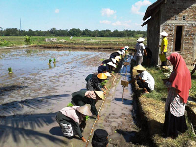 RATUSAN PELAJAR IKUTI "BERTANI MILENIAL DI BANTUL
