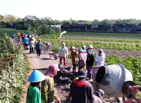Anggota BPD Dilarang Mensuplay Material Untuk Proyek Desa Dengan Anggaran APBN Dana Desa