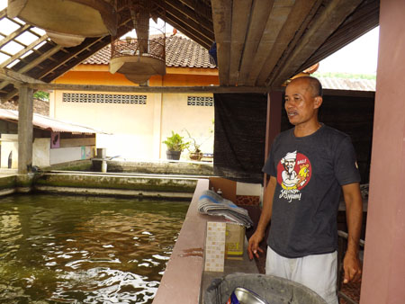 Edi Murjito Sukses 2 Periode Memimpin Desa Sidomulyo Bambanglipuro ' Sukses Beternak Lele dan Gurameh