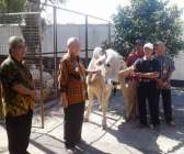 Idul Adha 1440 Bupati And Kepala…