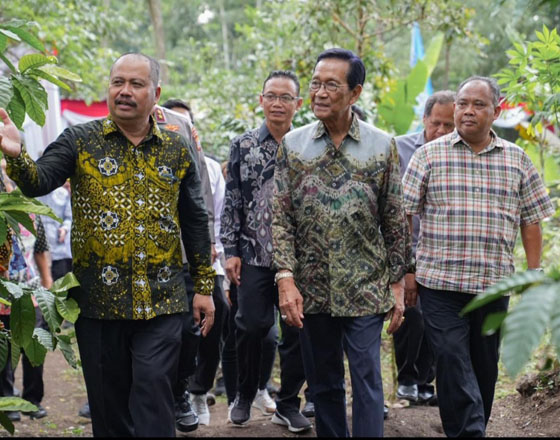 Panen Perdana Kopi Robusta Lereng Merapi Bersama Kementan RI 