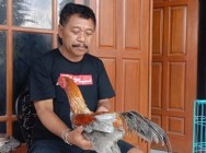 Penghobi Hewan Biasanya Hatinya…
