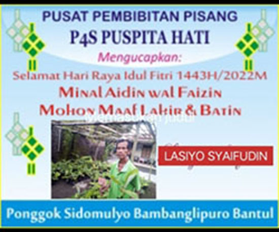 Lasiyo Syaifudin Tutorial Pembibit Pisang Sidomulyo Bambanglipuro Bantul Mengucapkan Selamat Iedul Fitri 1443 H 