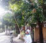 Wabah Covid 19 Pria Ini Memiliki…