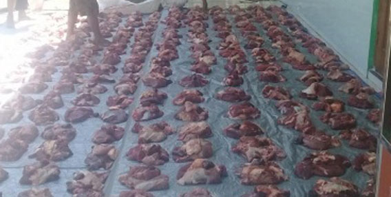 Ngoro-oro Tolok Ukur Syiar Islam Di Kapanewon Patuk ‘Ratusan Shohibul Qurban Tahun 1442 H  Inspirasi Mendongkrak Keimanan Dalam Beribadah