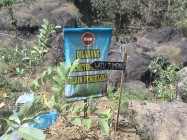 Wisata di Kepil Putat Sajikan Goa…