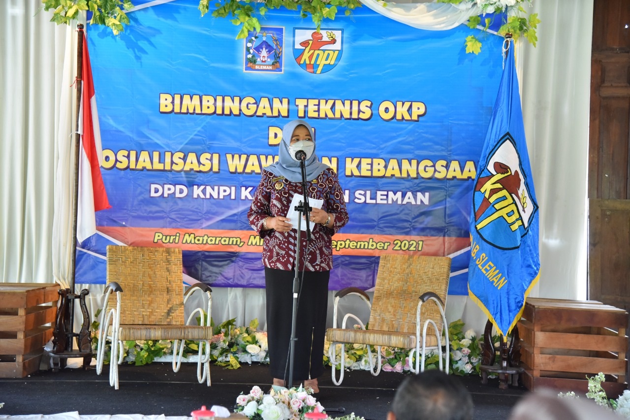 KNPI Sleman Gelar  Sosialisasi Wawasan Kebangsaan dan Bimbingan teknis OKP