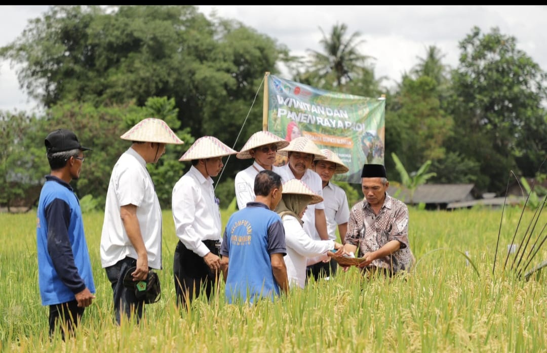 PANEN PADI SEHAT DAN GERAKAN PEMASSALAN BIOSAKA 