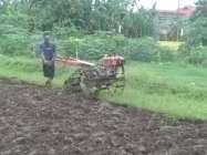 Gemburkan tanah pakai traktor selesaikan…