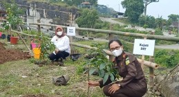 INILAH 5000 BIBIT POHON Di ACARA…
