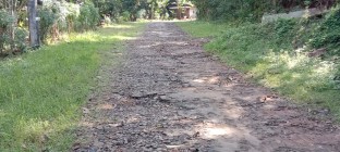 Jalan Kabupaten Beraspal Puluhan…