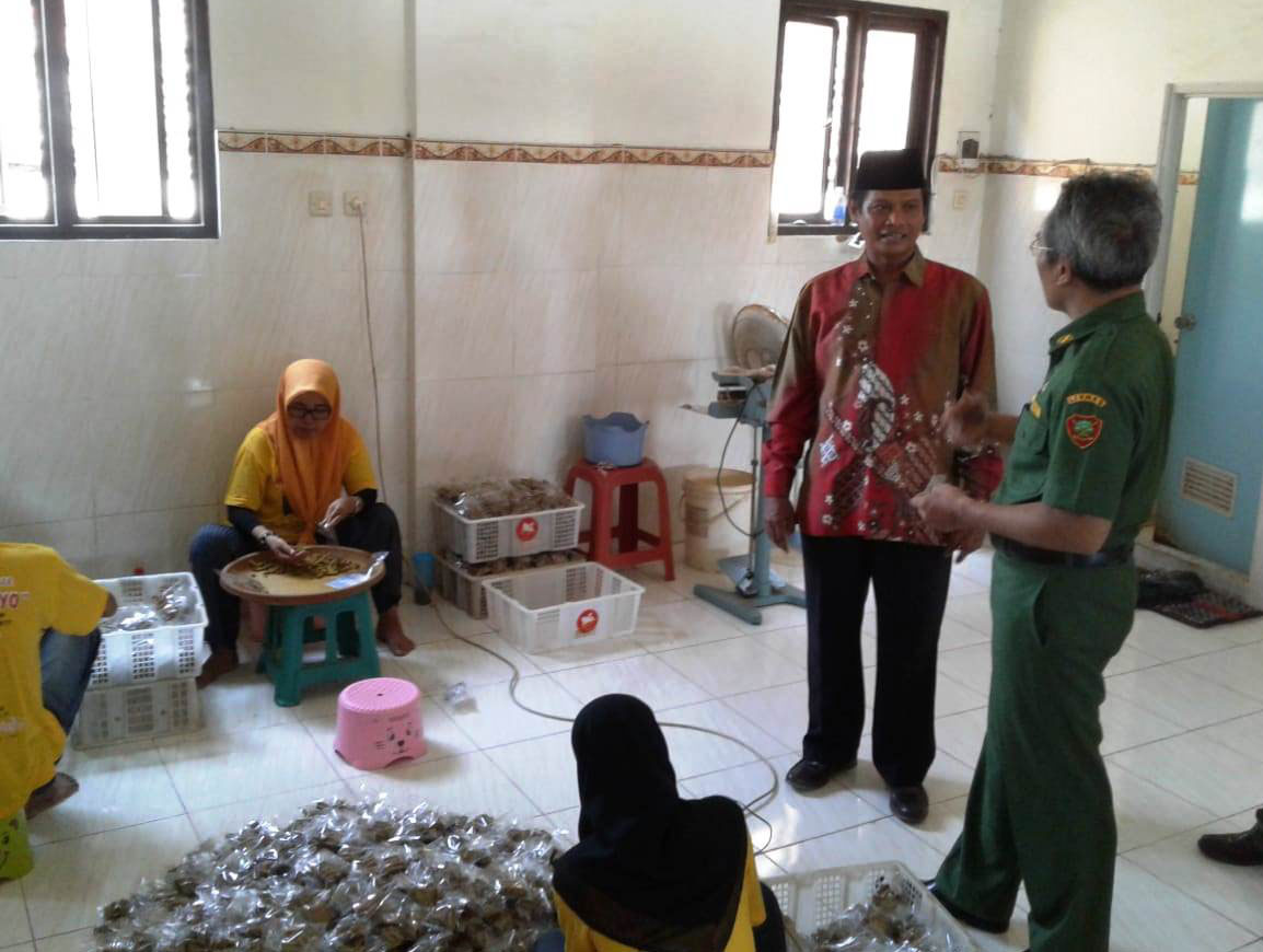 Wuiich Jamu Ayam Jago Racikan Mbah Jago Tembus Eksport 