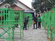 Ratusan Ayam Pelung Dalam Kidung…