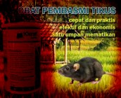 Tikus Mengamuk Dinas Pertanian…
