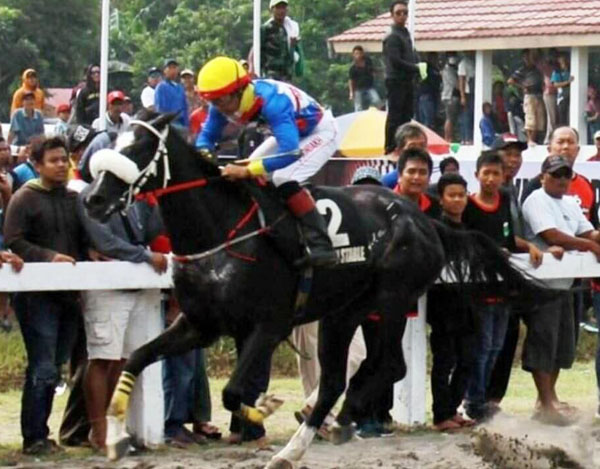Kuda Pariwangi DIY Siap Bertarung DI Laga Tanding Kawilarang Memorial Cup Salatiga 2019