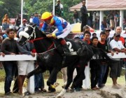 Kuda Pariwangi DIY Siap Bertarung…