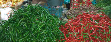 Harga Cabai Tak Menentu Pedagang Dan Pembeli Pusing 'Harga Cabai di Wonosari Turun  ?