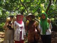 Kakao Gemawang Putat Gunungkidul…