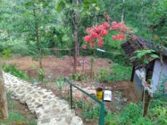 Potensi Wisata di Kecamatan Patuk…