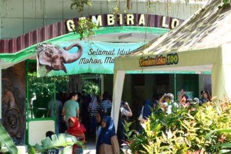 Paha kambing jatah makan harimau bon bin di sunat berujung sidang di pengadilan 