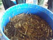 Kelompok tani ternak buat pupuk…