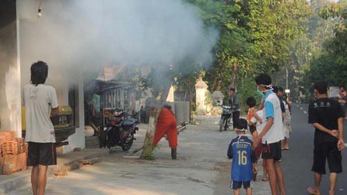 DB MENYERANG SEMENREJO, PULUTAN, DINAS KESEHATAN GUNUNGKIDUL LAMBAT !