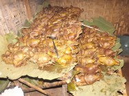Ujian Tes Perangkat Desa Fair 'Masyarakat…