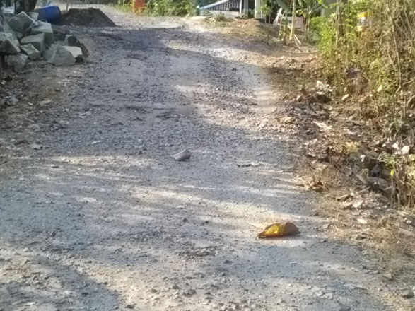 Bu Bupati dan pak DPR  Ruas Jalan Pengkok Brodoli 6 Tahun Tak Ada Wajah Baik 'Tolong di Perhatikan 