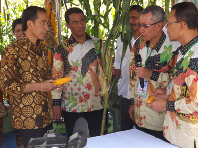 Pemerintah Pastikan Tidak Ada Impor Beras