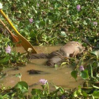 Enda Murid SD Hilang Keseret Arus Sungai Pelabuhan Puri 