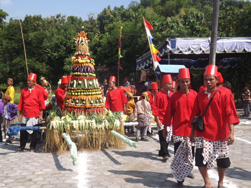 Kirab Budaya Pucung Dengkeng Meriah 2 Gunungan Buah  Sekejab Ludes di Tengah Aspal