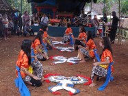 KUDA LUMPING PUTRI BANYAK DI MINAT…