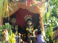 Wuich Perias Pengantin Panen Order…