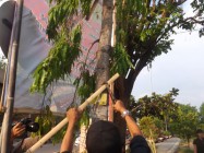 Komunitas pemuda Gunungkidul peduli…