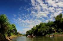 Nelayan sungai brantas panen ikan…