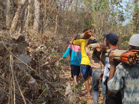 Desa Wisata Pucung Rejo Wukirsari "Buat Akses Jalan "Ring Road Perbukitan Pucung sejauh 8 Km
