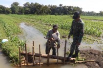 Pirang hektar ya mbah Yang terendam…