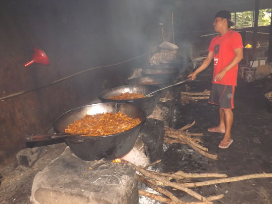 Geliat  Usaha Krecek Rambak Segoroyoso Pleret  Bantul