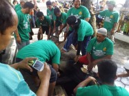 Takbir mengiringi pemotongan hewan…