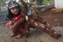 SING DADI BUPATI GUNUNGKIDUL SING…