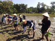 Mahasiswa Belajar Bercocok Tanam,…