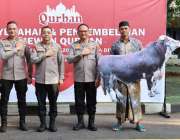 Idul Adha 1446 H Polda DIY Salurkan…