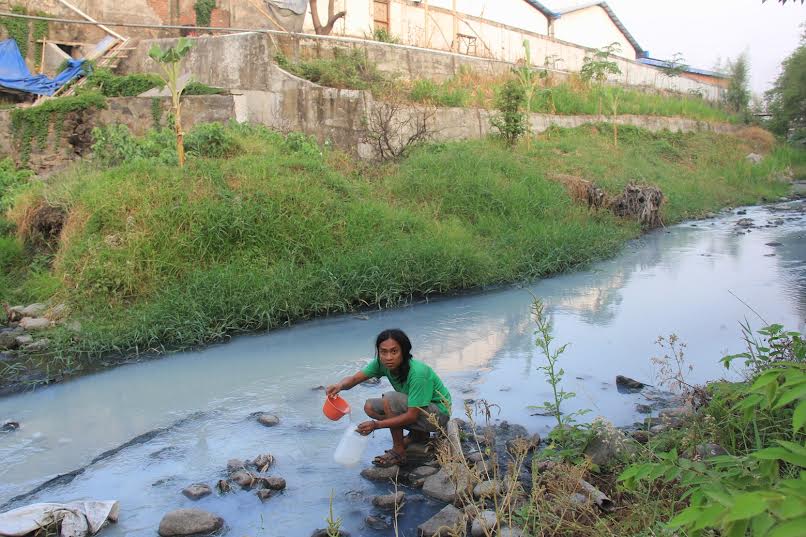Suaka Ikan Di kali Brantas Surabaya Terancam Punah 