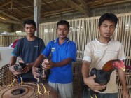 Ayam Bangkok, Ayam Potkay Ngetrend…