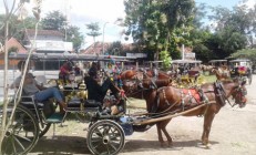 Andong Tak Beroperasi Di Masa Pandemi…