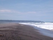 Menikmati Wisata Pantai Samas "Juga…