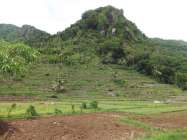 Desa Wisata Wunut Imogiri Bantul,…