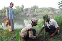 Nich Jenis Jenis Ikan Sungai Brantas…