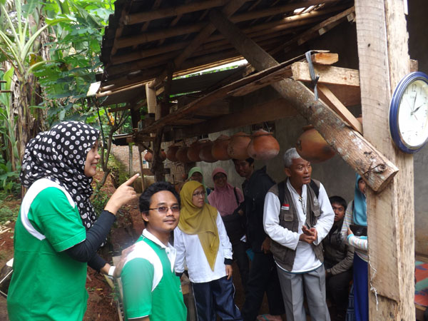Madu lanceng berkasiat sembuhkan sakit pinggang "burungmu yang loyo bisa bangun