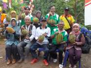 Durian di panen dan habis lebih…
